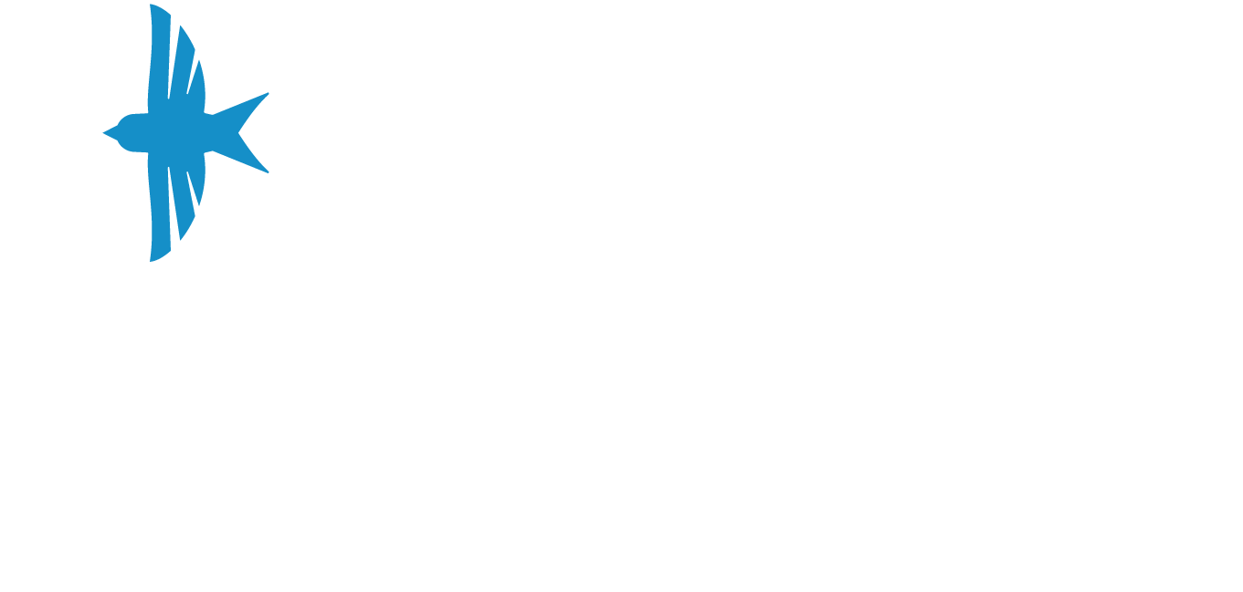 Fly Sea Port Air